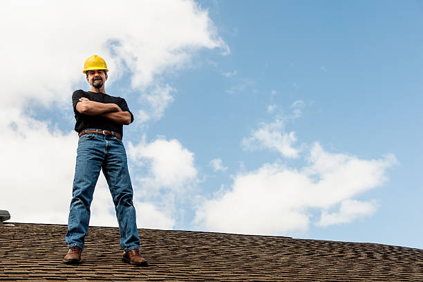 Best Roof Gutter Cleaning  in Round Lake Beach, IL