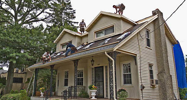 Best Roof Leak Repair  in Round Lake Beach, IL